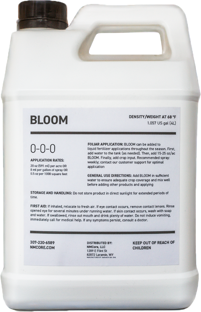 About BLOOM